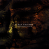 Terra Ambient - The Darker Space